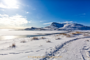 JZ_Winter_11