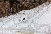 JZ_Winter_6