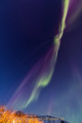 JZ_Winter_8b
