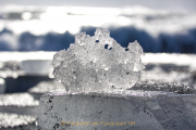 JZ_Winter_9