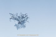 JRB4_IMG_0622_kl