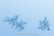 JRB6_IMG_0625_kl