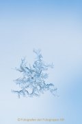 JRB7_IMG_0631_kl