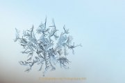 JRB8_IMG_0630_kl