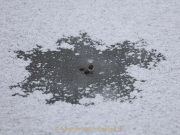 Nicole_FotoProjJan-5