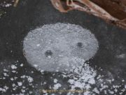 Nicole_FotoProjJan-6