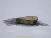 Nicole_FotoProjJan-7