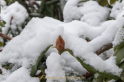 wcb_winterlich_01