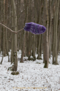 wcb_winterlich_02
