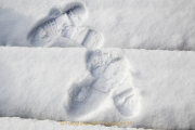 wcb_winterlich_03