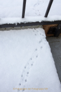 wcb_winterlich_04