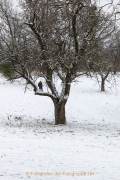 wcb_winterlich_06