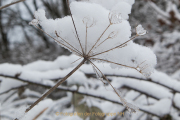 wcb_winterlich_07