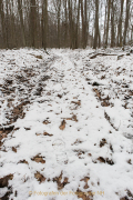 wcb_winterlich_09