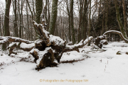 wcb_winterlich_10
