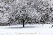 wcb_winterlich_12