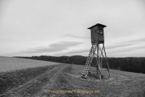 Schwarz-Weiss-Fotografie - Henry Mann