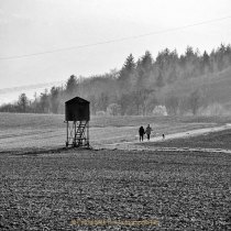 Schwarz-Weiss-Fotografie - Henry Mann