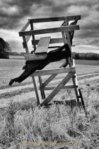Schwarz-Weiss-Fotografie - Henry Mann