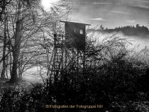 Schwarz-Weiss-Fotografie - Henry Mann
