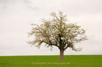 Fotografie und Poesie - Jutta R. Buchwald