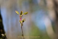 Fotografie und Poesie - Jutta R. Buchwald
