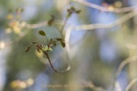 Fotografie und Poesie - Jutta R. Buchwald