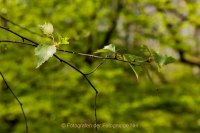 Fotografie und Poesie - Jutta R. Buchwald