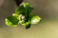 Fotografie und Poesie - Jutta R. Buchwald