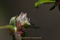 Fotografie und Poesie - Jutta R. Buchwald
