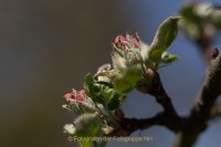 Fotografie und Poesie - Jutta R. Buchwald