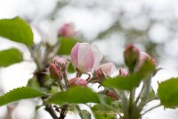 Fotografie und Poesie - Jutta R. Buchwald