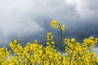 Fotografie und Poesie - Jutta R. Buchwald