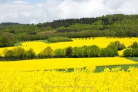 Fotografie und Poesie - Jutta R. Buchwald
