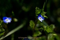 Fotografie und Poesie - Jutta R. Buchwald