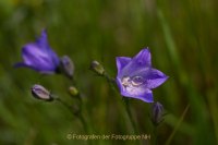 Fotografie und Poesie - Jutta R. Buchwald