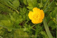 Fotografie und Poesie - Jutta R. Buchwald