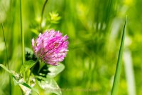 Fotografie und Poesie - Jutta R. Buchwald