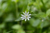 Fotografie und Poesie - Jutta R. Buchwald