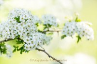 Fotografie und Poesie - Jutta R. Buchwald