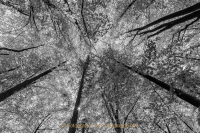 Weitwinkelfotografie - Olaf Kratge