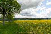 Weitwinkelfotografie - Olaf Kratge