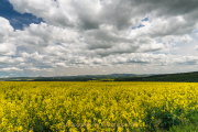 Weitwinkelfotografie - Olaf Kratge