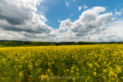 Weitwinkelfotografie - Olaf Kratge