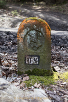 Orientierung - Werner Ch. Buchwald