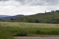 Orientierung - Werner Ch. Buchwald