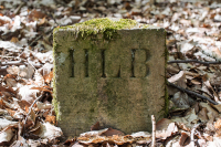 Orientierung - Werner Ch. Buchwald