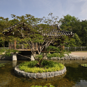 Fotowalk Koreanischer Garten - Fotograf Albert Wenz