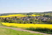 Frühling - Fotograf Albert Wenz