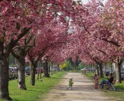 Frühling - Fotografin Anne Jeuk